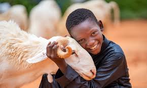 Qurban Donation
